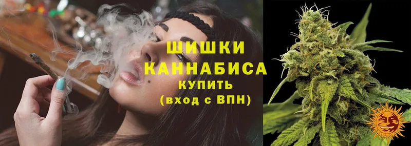 Шишки марихуана THC 21%  Куровское 